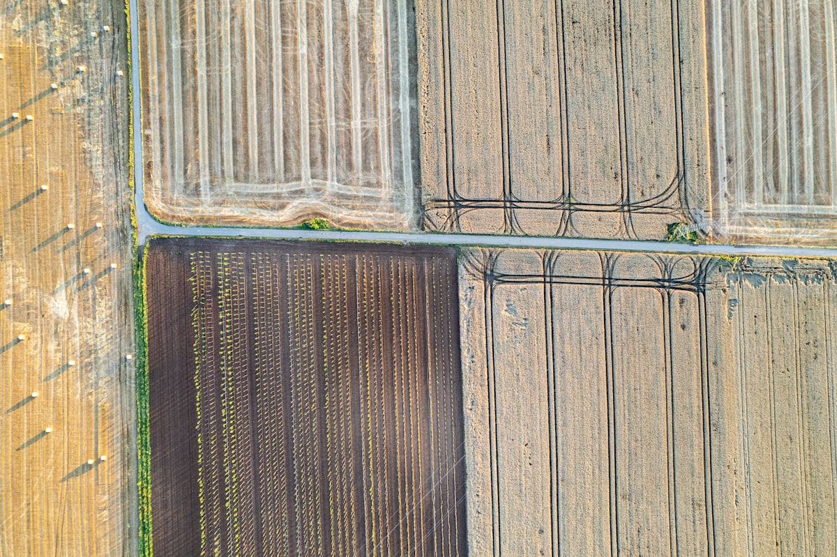 Luftaufnahme landwirtschaftlicher Felder